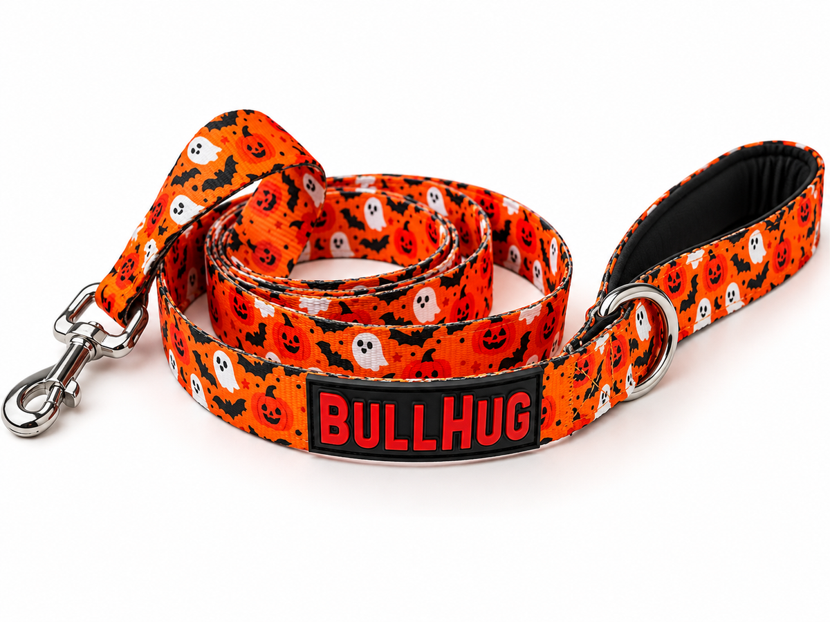 Boo and Bats 6FT BULLHUG LEASH