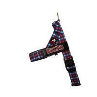 "BLUE & RED PLAID "  BULLHUG  COMBO KIT