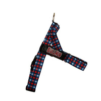 "BLUE & RED PLAID "  BULLHUG  COMBO KIT