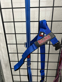 "ROYAL BLUE" 6FT BULLHUG LEASH