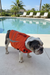BullHug Life Jacket