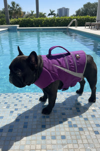 BullHug Life Jacket