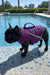 BullHug Life Jacket