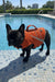 BullHug Life Jacket