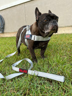 "Silver" BullHug Harness Bullhug.com