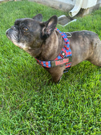 Mustache BullHug Dog Harness – Non-Choking, Adjustable