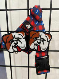 Flair Patch- BullHug (2 patches)