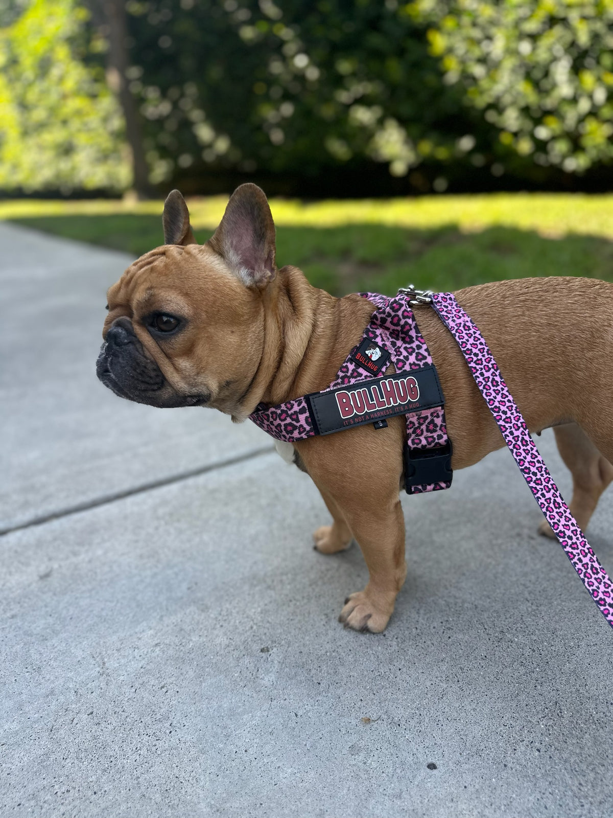 Pink Leopard BullHug Dog Harness – Non-Choking, Adjustable