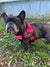 neon pink bullhug dog harness