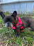 "NEON PINK" BULLHUG HARNESS