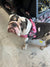 Pink Checker BullHug Dog Harness