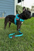 Teal BullHug 6ft Dog Leash – Padded Handle