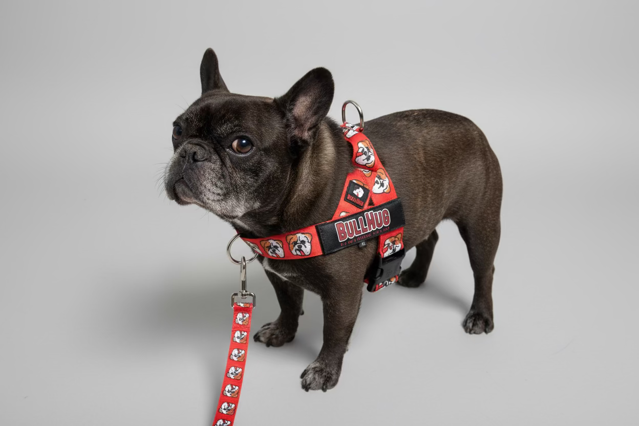 No-Pull D-Ring Harness Attachment