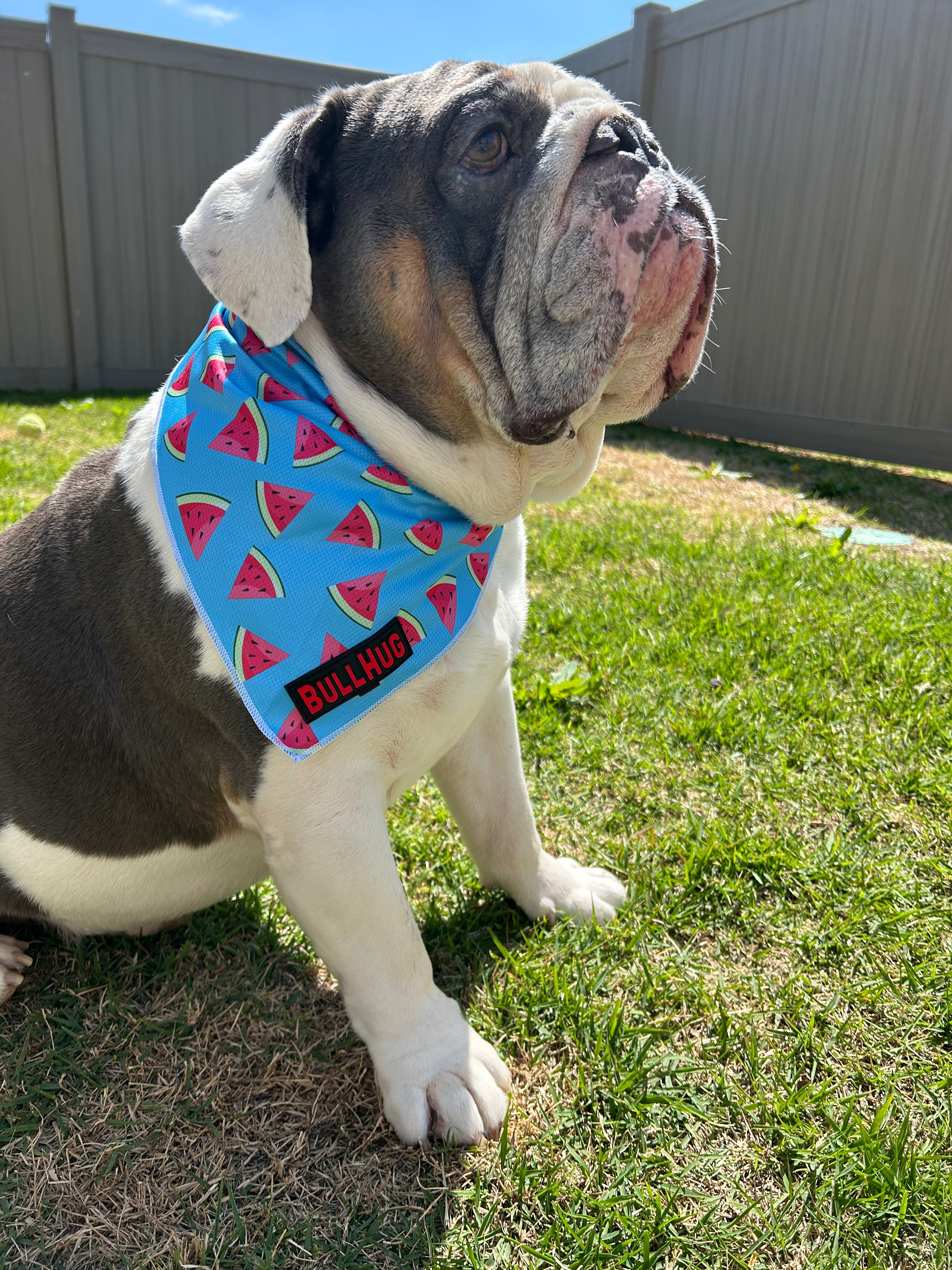 BullHug Bandana