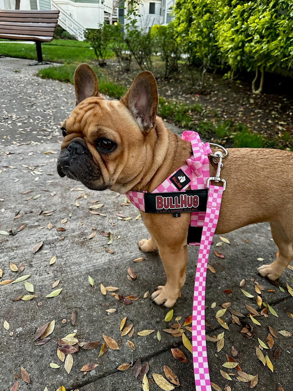 Pink Checkers BullHug Dog Harness – Non-Choking, Adjustable