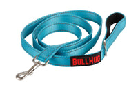 Teal BullHug 6ft Dog Leash – Padded Handle