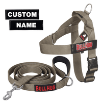 Taupe BullHug Dog Harness and Dog Leash Set