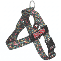 Tropical Birds BullHug No Pull Dog Harness