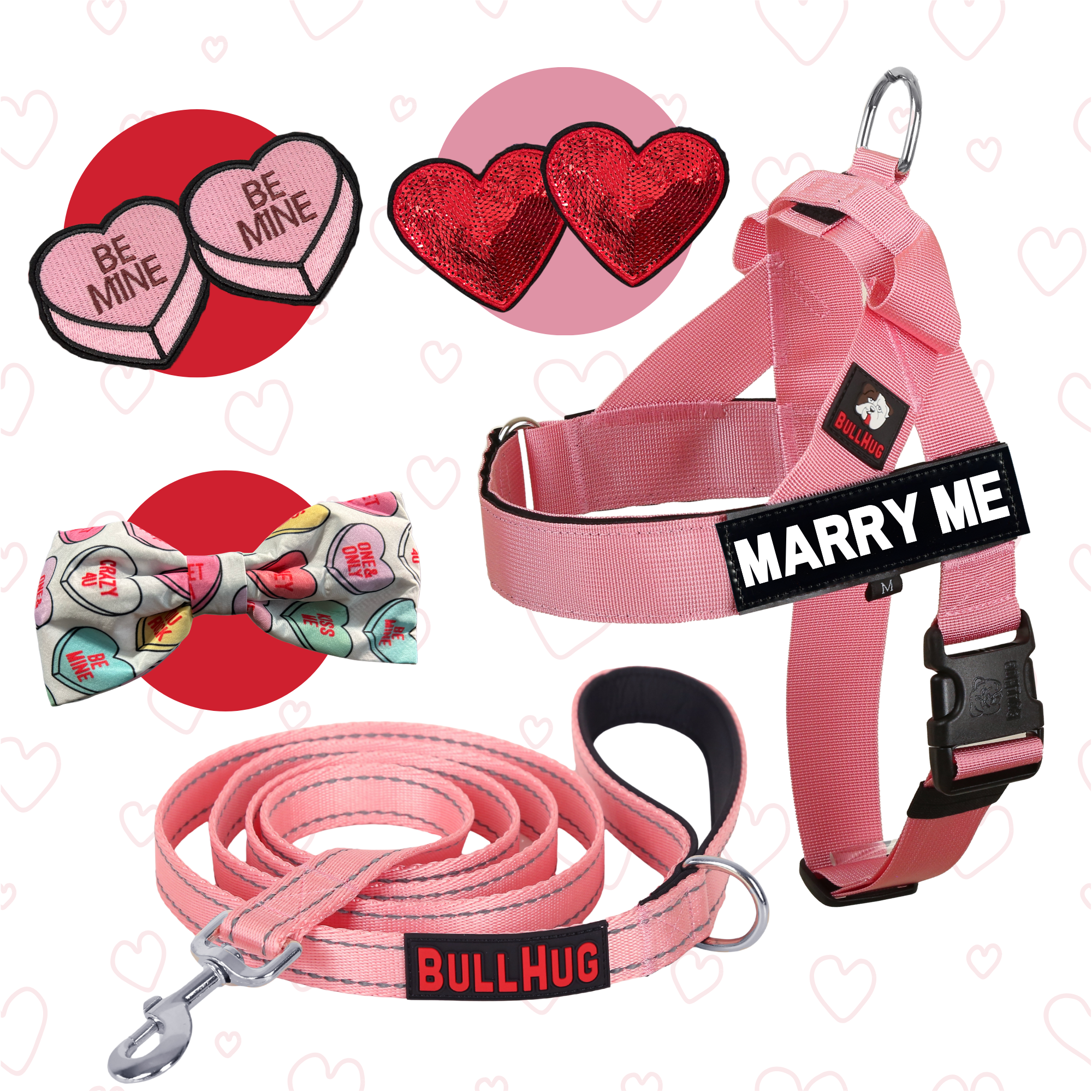 baby pink valentine's day dog harness and leash combo