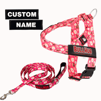 "Donuts" BullHug Harness Essentials Combo