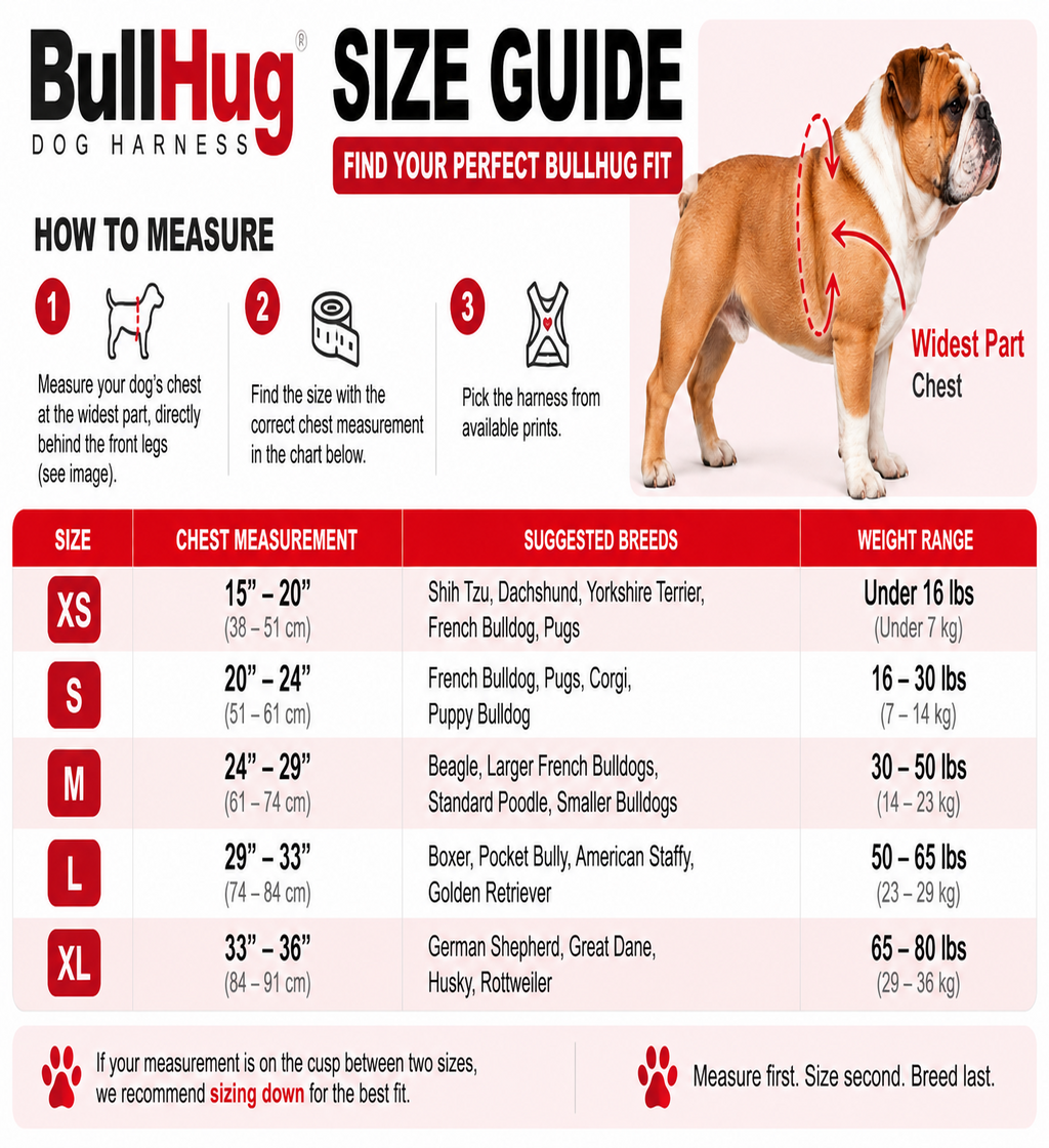 Teal BullHug Dog Harness – Non-Choking, Adjustable