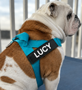 Custom Vinyl Name Tag