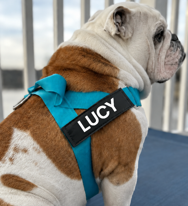 Custom Vinyl Name Tag