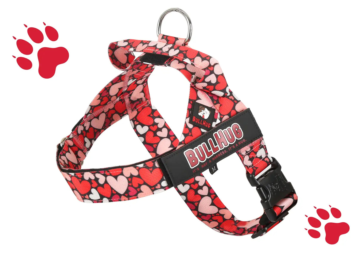 Bullhug Harnesses