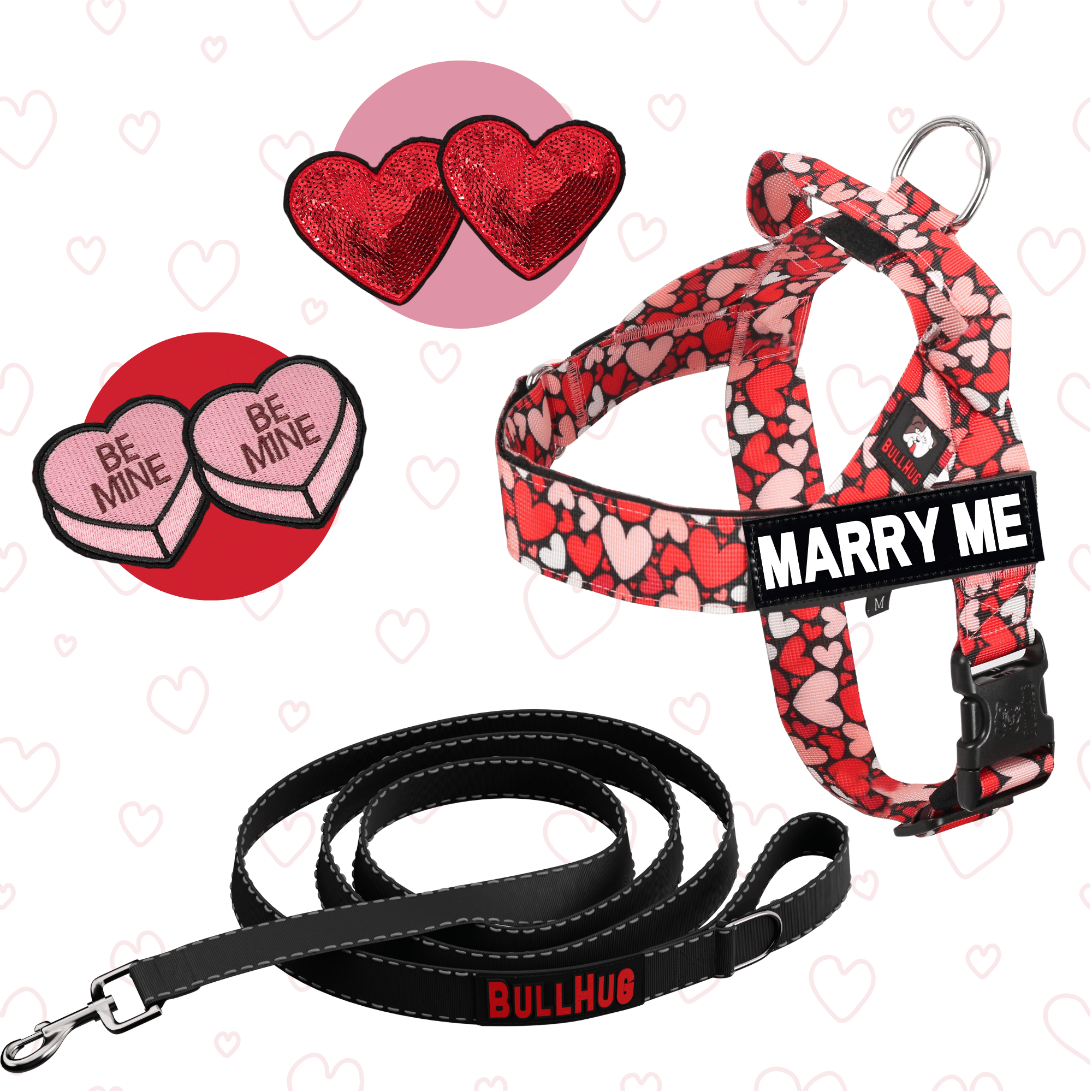 heartbeat valentine's day dog harness and leash combo
