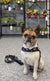 Shark BullHug 6ft Dog Leash – Padded Handle
