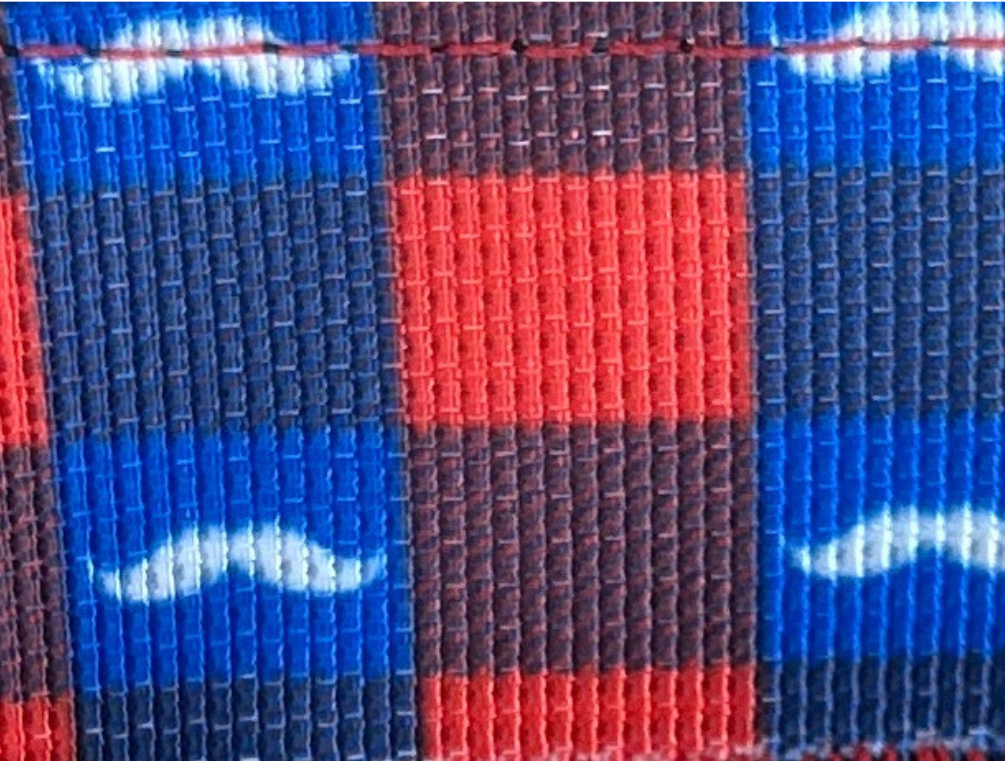 Close Up of Mustache Leash