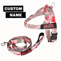 pink floral bullhug no-choke dog harness & leash set