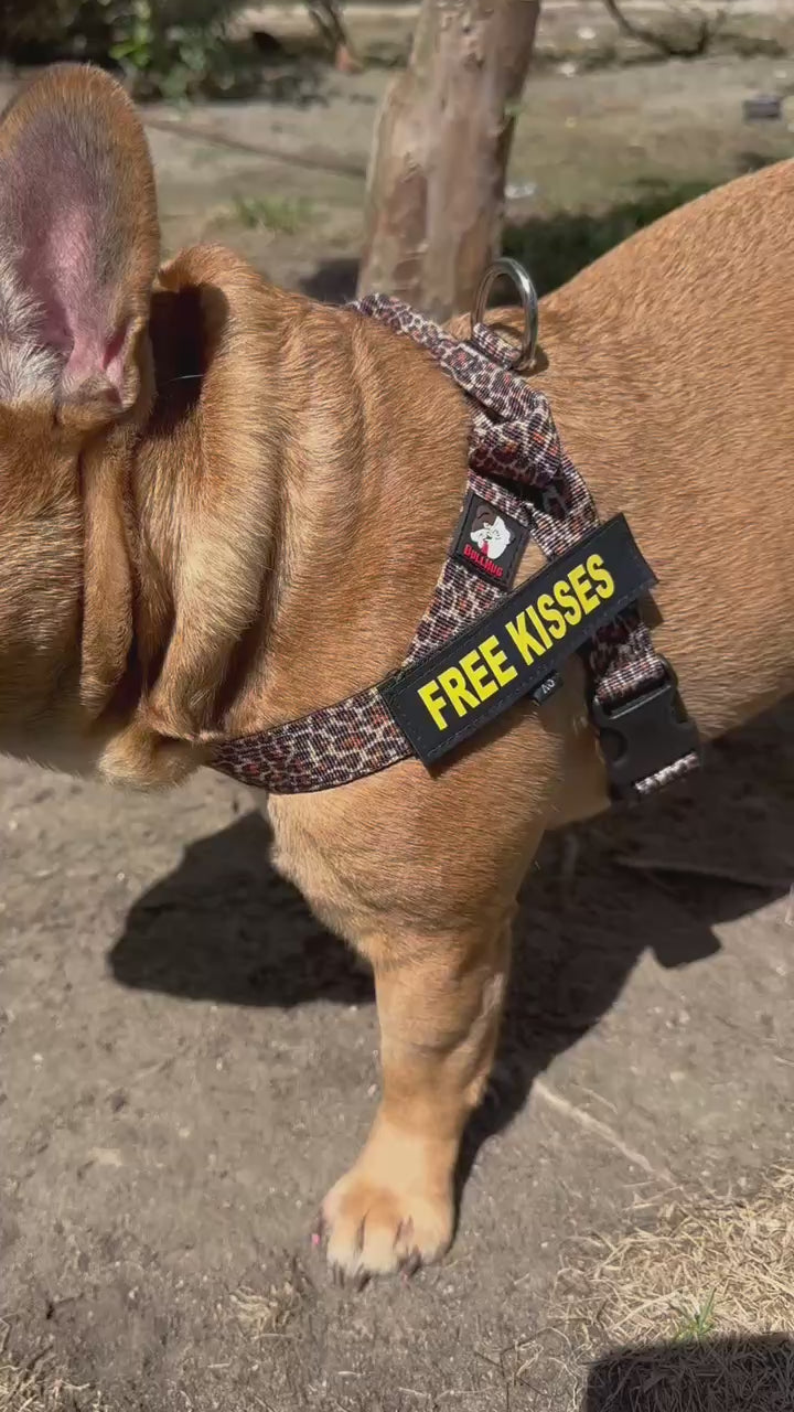 Leopard BullHug Dog Harness – Non-Choking, Adjustable