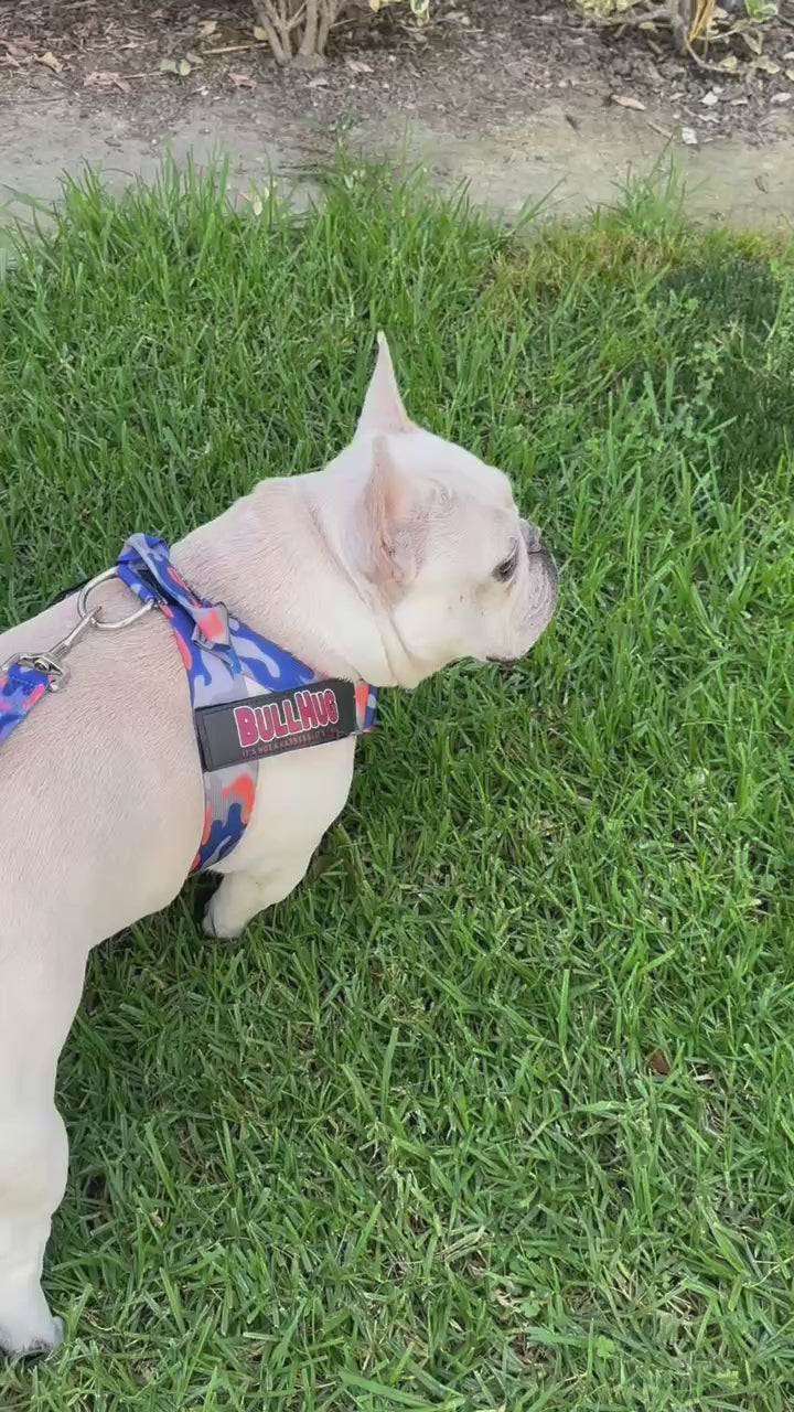 Orange & Royal Blue Camo BullHug Dog Harness – Non-Choking, Adjustable
