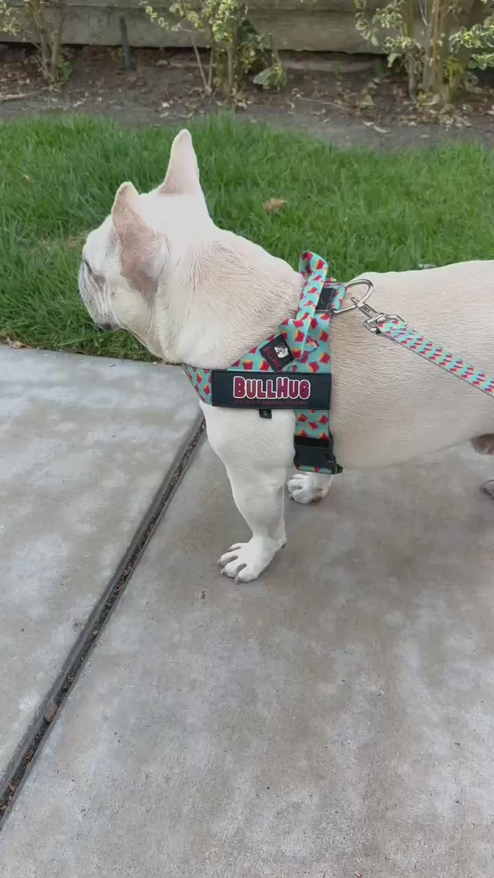 Fries BullHug Dog Harness – Non-Choking, Adjustable