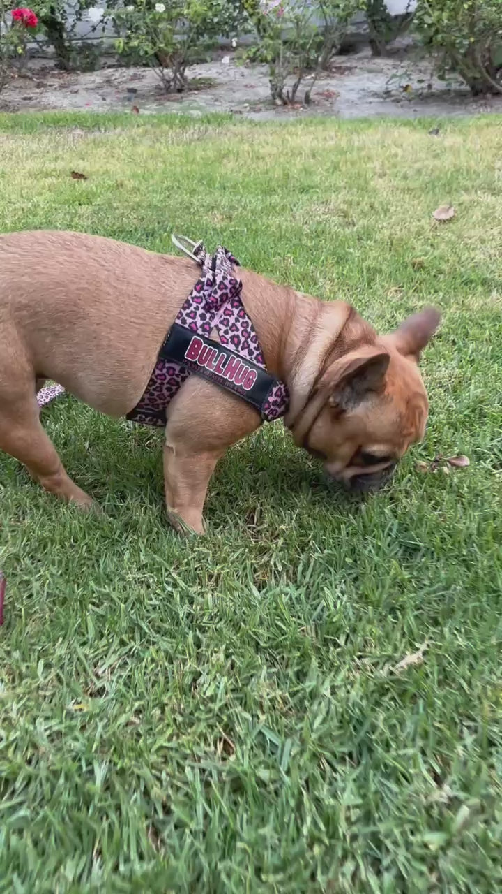 Pink Leopard BullHug Dog Harness – Non-Choking, Adjustable