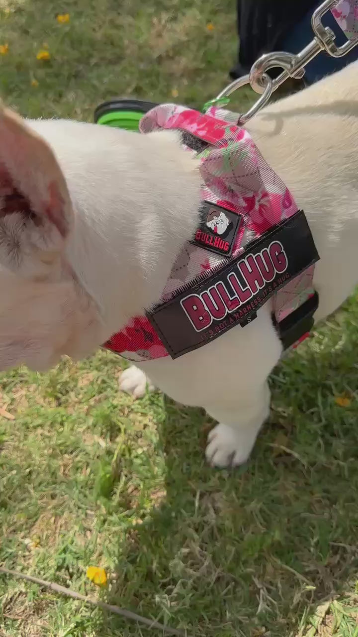 Pink Floral BullHug Dog Harness – Non-Choking, Adjustable