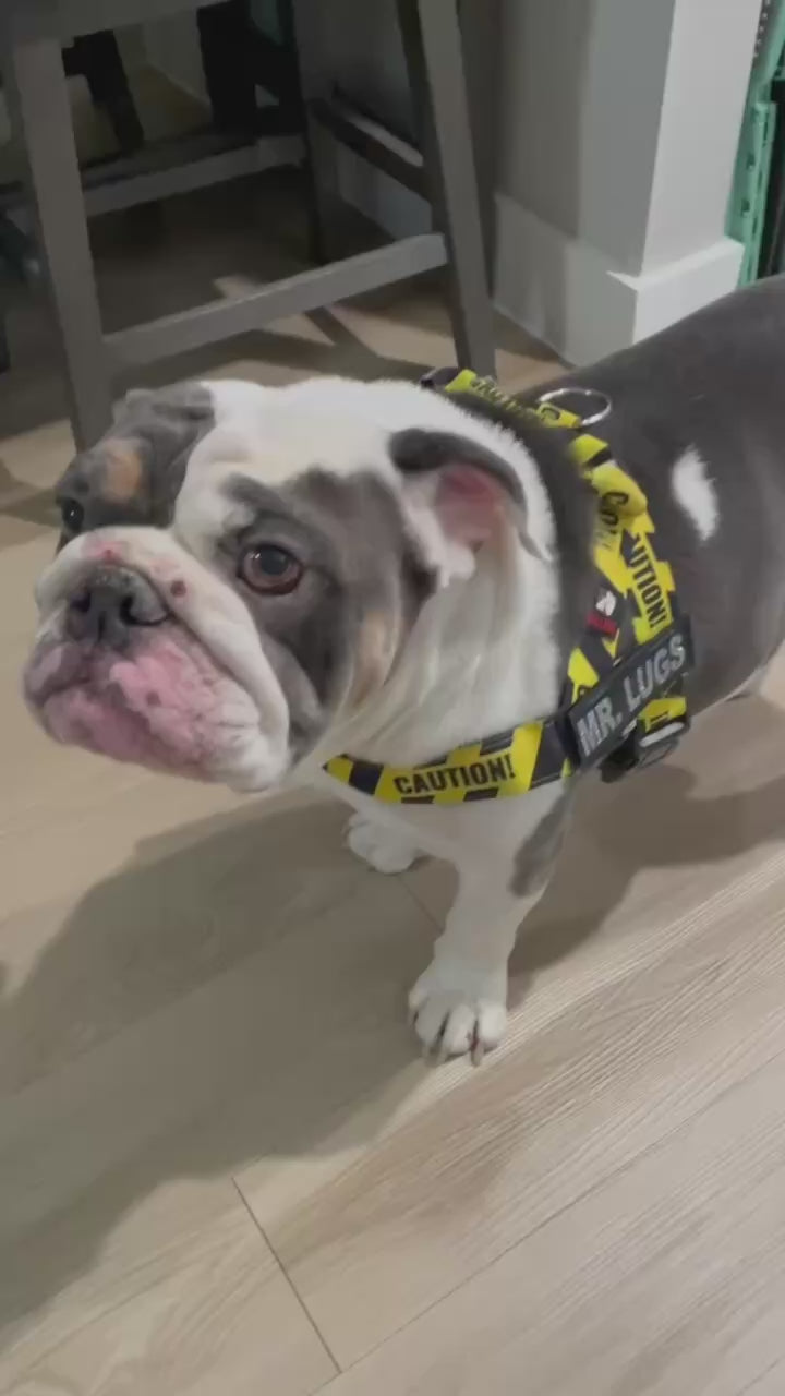 Caution BullHug Dog Harness – Non-Choking, Adjustable