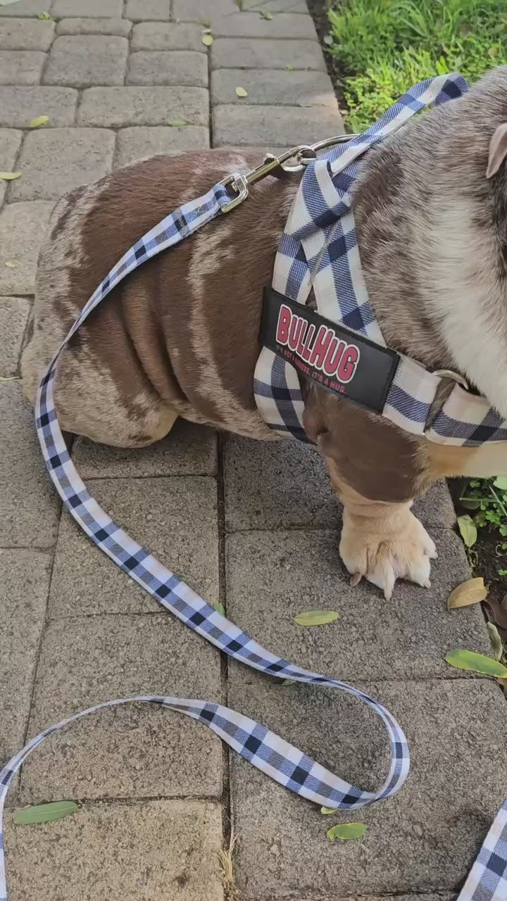 Blue & Tan Plaid BullHug Dog Harness – Non-Choking, Adjustable
