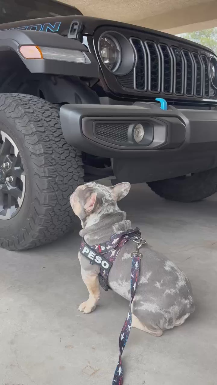 Shark BullHug Dog Harness – Non-Choking, Adjustable
