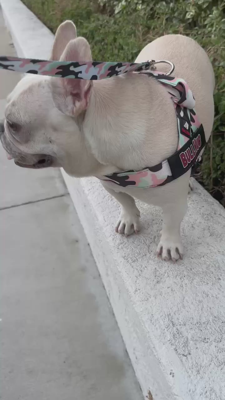 Pink & Mint Camouflage BullHug Dog Harness – Non-Choking, Adjustable