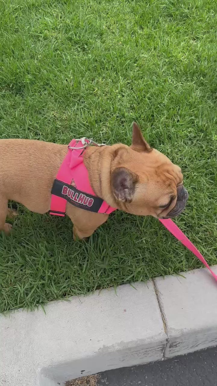 Neon Pink BullHug Dog Harness – Non-Choking, Adjustable
