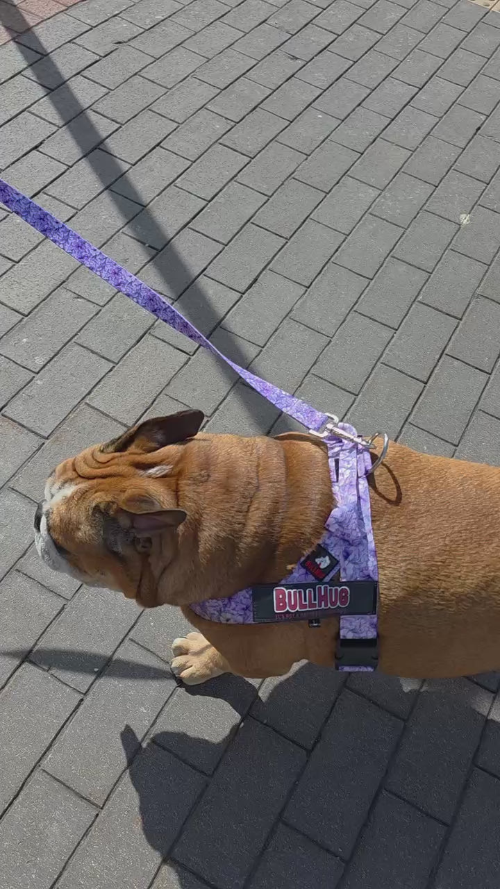 bullhug dog harness