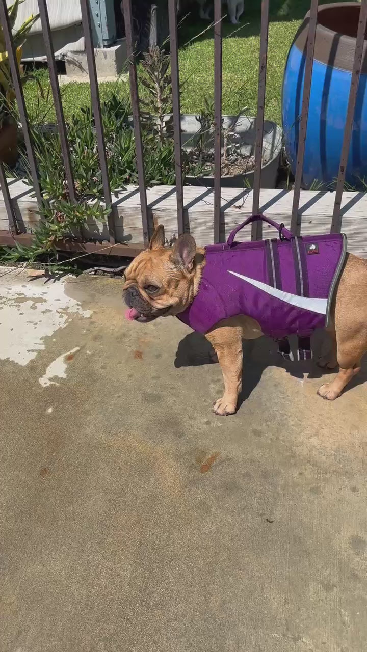 BullHug Life Jacket