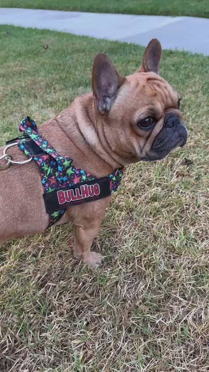 Starbright BullHug Dog Harness – Non-Choking, Adjustable