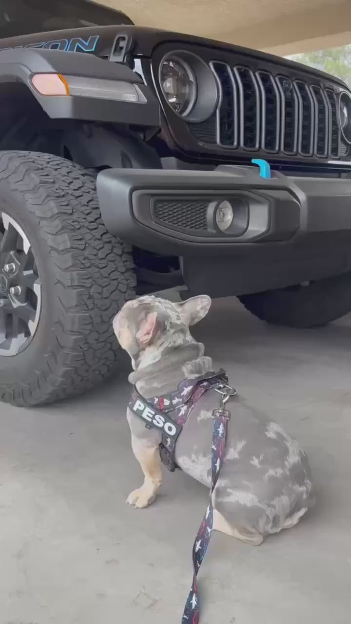 Shark BullHug Dog Harness & Leash Combo