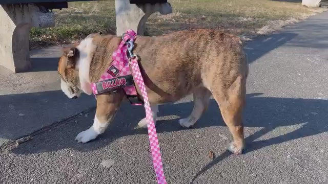 Pink Checkers BullHug Dog Harness – Non-Choking, Adjustable