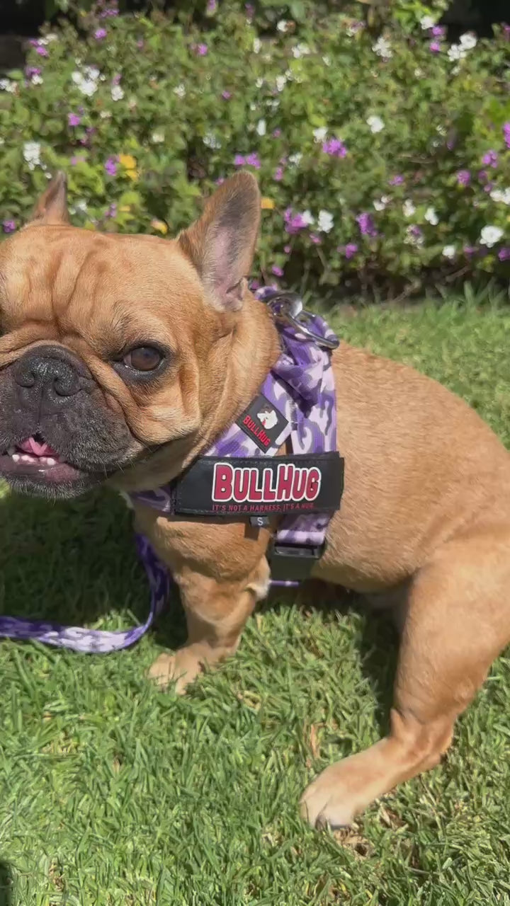 Purple Camouflage BullHug Dog Harness – Non-Choking, Adjustable