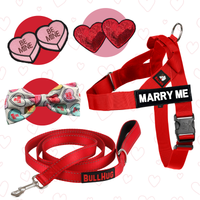 red valentine's day dog harness and leash combo