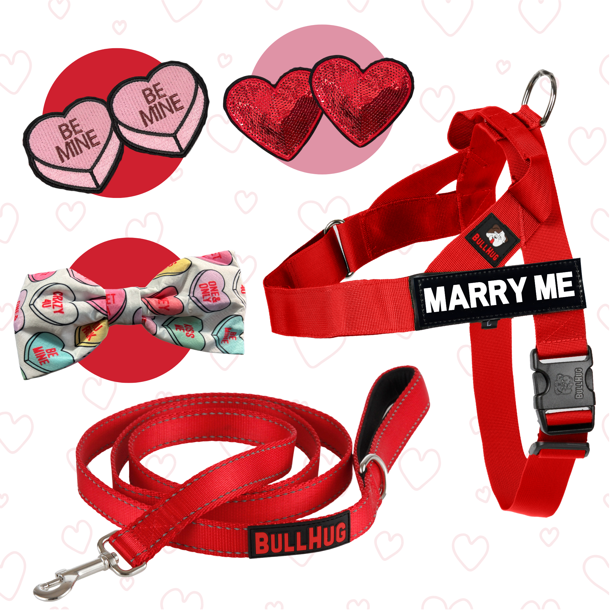 red valentine's day dog harness and leash combo